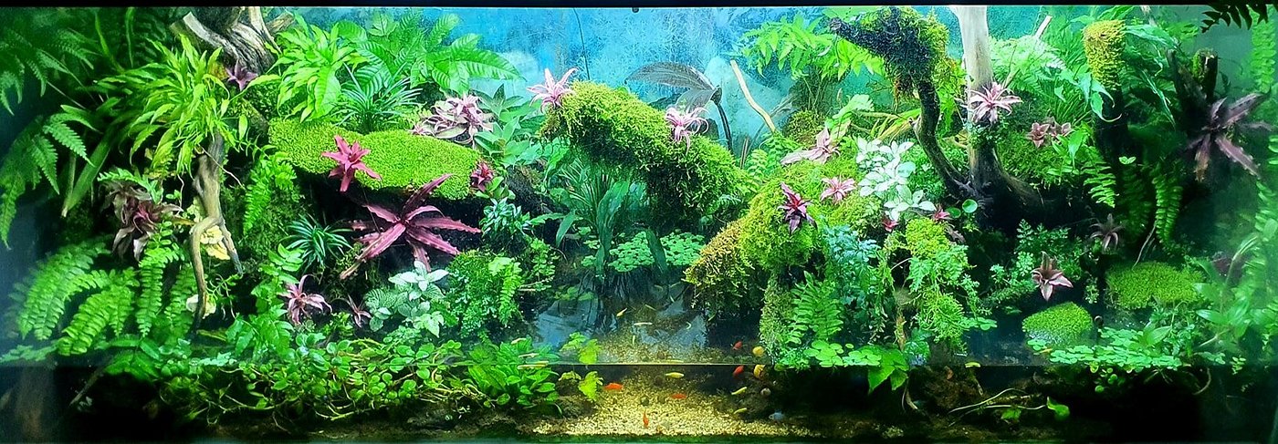 Океанариум Thủy Sinh Nha Trang